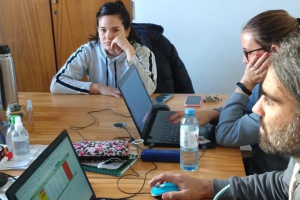 Trabajo de la cooperativa GENEOS, desarrollando software personalizado en funcion del cliente.
